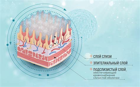 Гиперфункция желудочно-кишечного тракта: возможная причина частого регургитирования