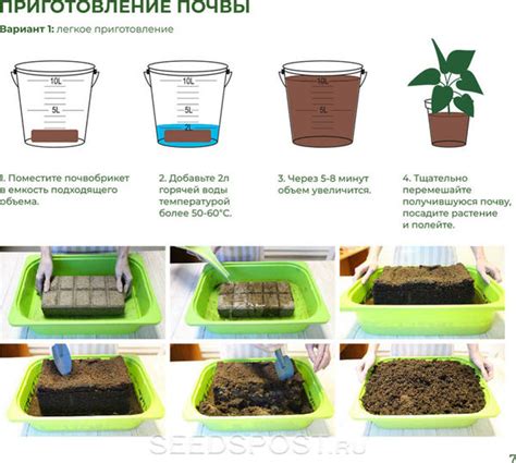 Глиняные гранулы: новый способ обеспечить идеальные условия для растений в цветочных горшках