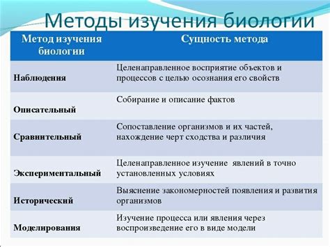 Декорирование преградительной структуры: методы придания индивидуального облика