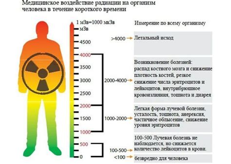 Деструктивное воздействие на организм: причины и последствия