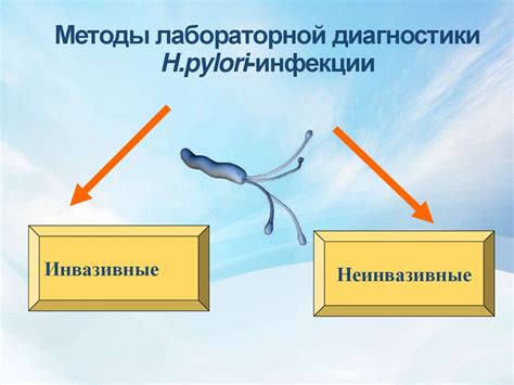 Диагностика инфекции H pylori: методы и процедуры