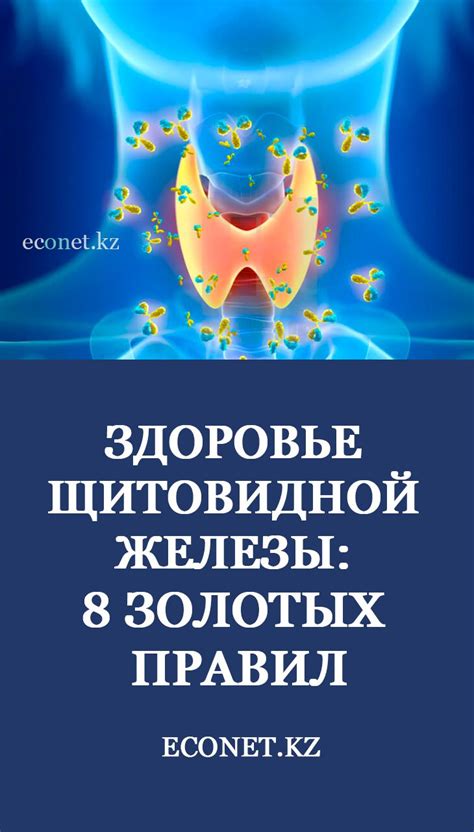 Диагностика патологии секреторной железы у представительниц прекрасного пола