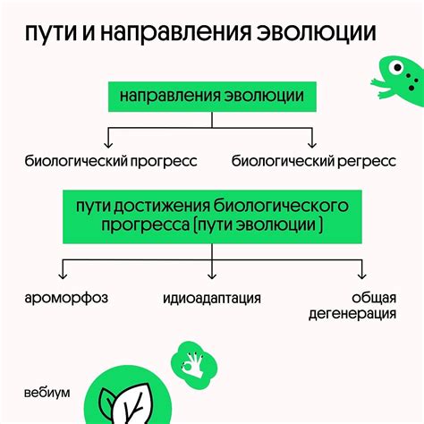 Диагностика пути эволюции артериального кольца Виллизе