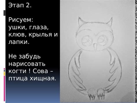 Добавление элементов и украшений: крылья, клюв и глаза