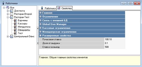 Дополнительные возможности настройки функций РФ Термо 706