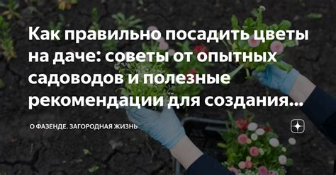 Дополнительные рекомендации и полезные советы для связи ясен и телевизора