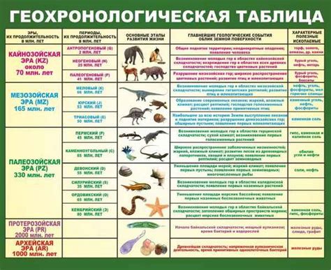 Живая немертва: обзор процесса формирования животных-манекенов