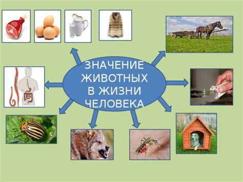 Жизнь в статике: роль и значение фиксированных образов животных в современном искусстве