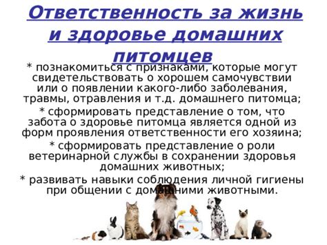 Забота о состоянии здоровья домашних питомцев: основные подсказки