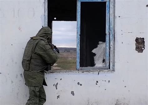 Зависание птицы в условиях городской застройки