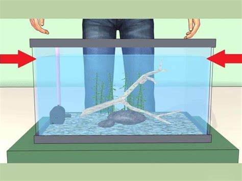 Заполнение аквариума водой и создание подходящих условий для рыбы