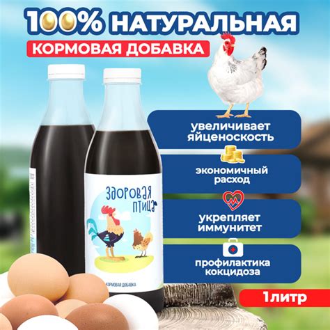 Запрещенные продукты и добавки для куриц-бройлеров: что лучше не давать птице