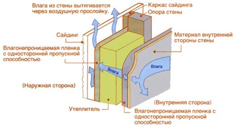 Защита от влаги и микроорганизмов: сохраните стены в идеальном состоянии