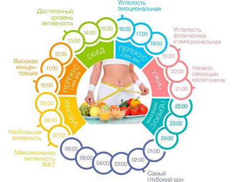 Здоровое питание и правильная гидратация