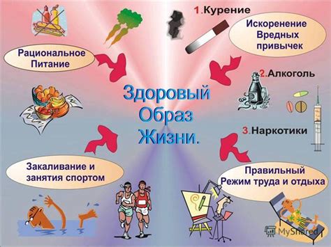 Здоровый образ жизни и его воздействие на производительность