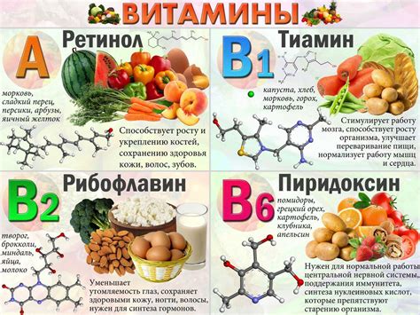 Значение витаминов и минералов для нашего организма