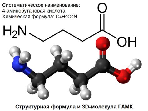 Значение гамма-аминомасляной кислоты (ГАМК) для функционирования мыслительной деятельности