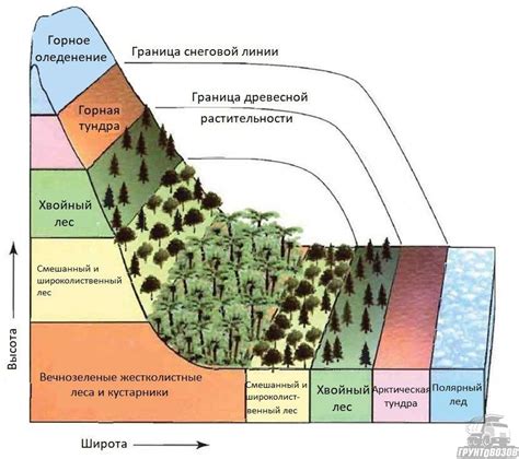 Значение горных систем в формировании географической вертикальной градации