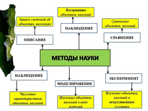 Значение и методы изучения жизнеспособности легочной системы