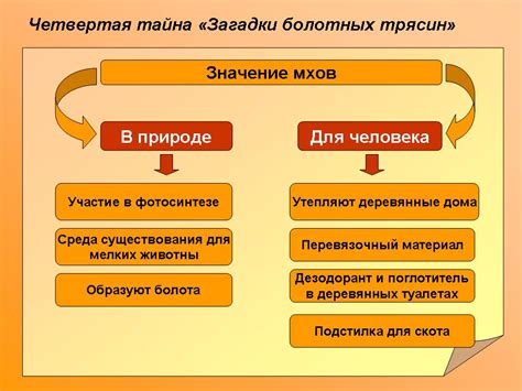 Значение и роль сценариев в процессе разработки