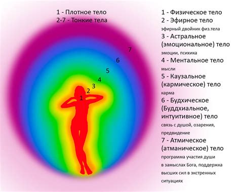 Значимость определения оттенка энергетического поля окружающего личность 