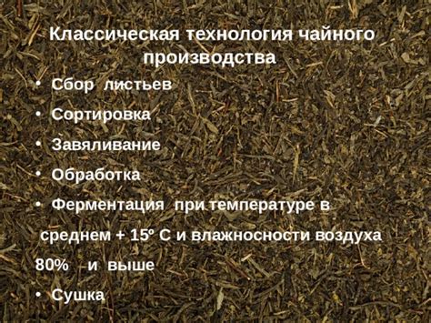 Избырательная сортировка ароматных листьев для неотразимого вкуса