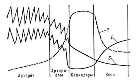 Изменение скорости и ритма вибрации