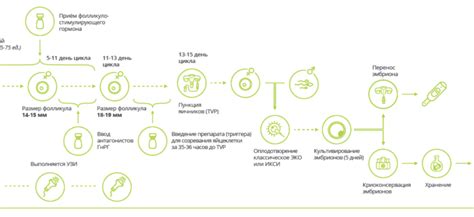 Изменения в естественном женском цикле