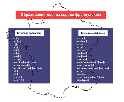 Изучение рода во французском языке и его влияние на формирование наших представлений о мире