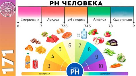 Индикация уровня окисления в организме: отражение нашего внутреннего баланса