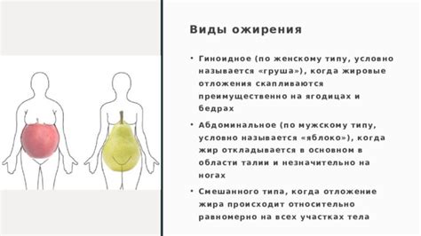 Инозитол и жировые отложения: механизмы сжигания жира и уменьшения объемов