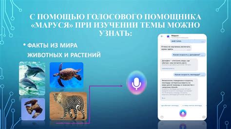 Использование голосового общения в игровых комнатах