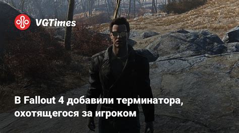 Использование модификаций для изменения области обозрения игроком в Fallout 4