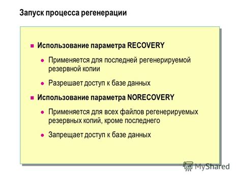 Использование резервных копий для восстановления данных: надежность и эффективность