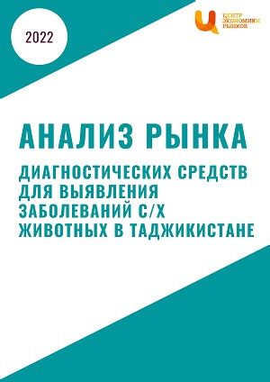 Использование тестов для выявления жизненной цели