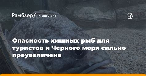 Использование хищных рыб для контроля популяции раковинных гастропод