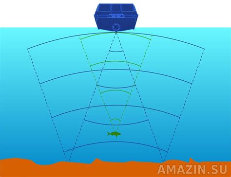 Использование эхолота: основной принцип работы и широкий функционал