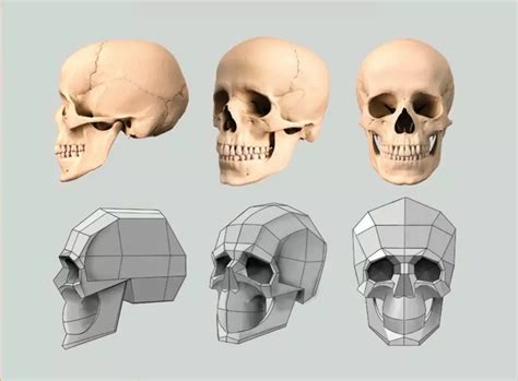 Исследование анатомии губ для создания реалистичных моделей в Blender