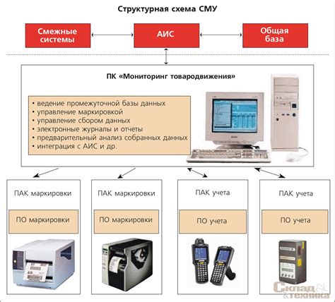 Исследование маркировки и этикетки: разбор системы и проверка подлинности товара