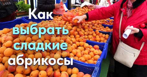 Как выбрать спелые абрикосы для приготовления освежающего напитка