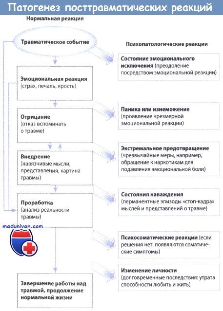 Как оказать поддержку клиенту, страдающему от Посттравматического стрессового расстройства (ПТСР)