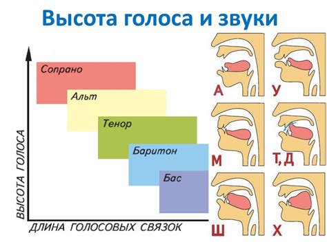 Как эффективно заботиться о голосовом аппарате малыша в возрасте 2 года