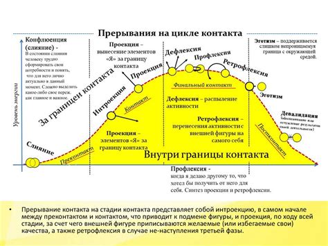 Камуфляж и обманные маневры: защитные механизмы октопуса