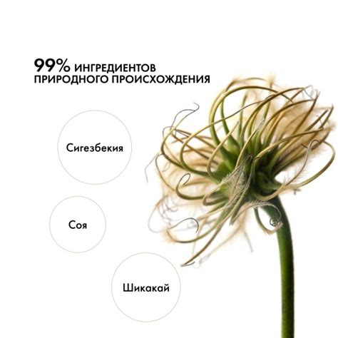 Когда стоит обратиться к специалистам для удаления пигмента с ткани