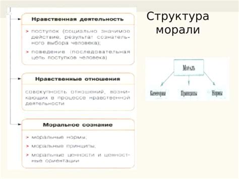 Компоненты устного экзамена: ключевые аспекты и составляющие