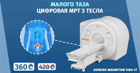 Магнитно-резонансная томография малого таза: неотъемлемый метод диагностики