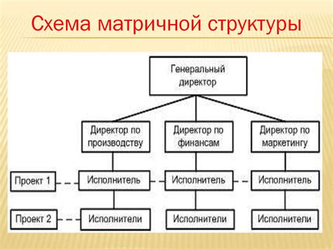 Матричная модель управления в организации: эффективность и гибкость работы