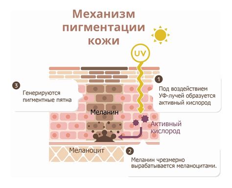 Медицинское исследование особенностей пигментации кожи