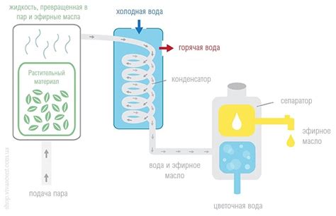 Методы получения эфирных масел по мастерству добычи