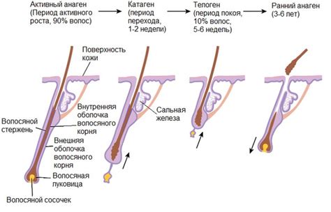 Методы физического воздействия на волосы для замедления роста